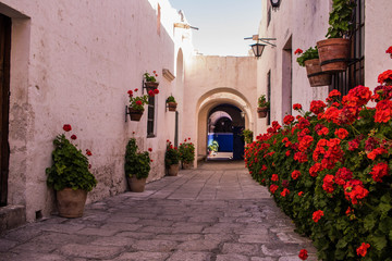 flowers in the monastery