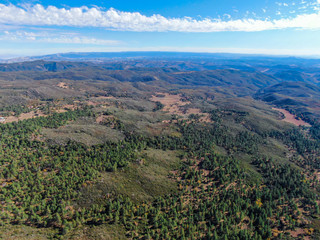 Aerial view of pine in Pine Valley during dry fall season, San Diego Country, California, USA