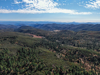 Fototapeta na wymiar Aerial view of pine in Pine Valley during dry fall season, San Diego Country, California, USA