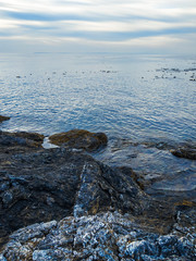 Rocky coastal shoreline of Friday Harbor in San Juan Island, WA, on an overcast day