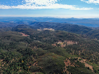 Aerial view of pine in Pine Valley during dry fall season, San Diego Country, California, USA