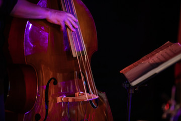 Close up photo of a musician playing a large string instrument like cello or double bass in a live performance on stage - Powered by Adobe