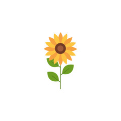 Isolated sunflower icon flat design