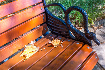 Park bench with autumn leaves