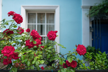 Fototapeta na wymiar Colorful homes of Nottinghill Gate in London