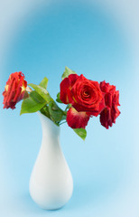 Red roses close up in a glass vase on a blue background. Holiday card with red roses on Valentine's Day or March 8 with copy space.