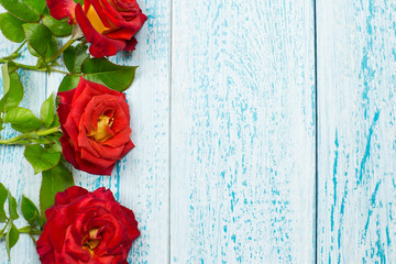 Red roses on a blue wooden background. Copy space. The concept of the celebration. Valentine's day. Card for the holiday.