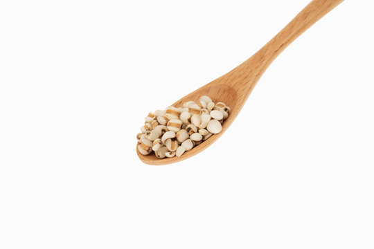 Job's tears in spoon with white background