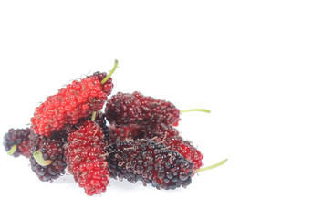 mulberry isolated on the white background
