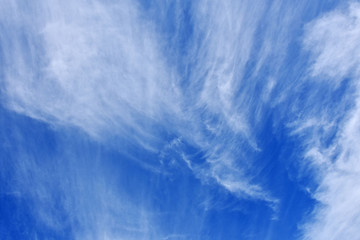 青空と雲、空、雲、ふわふわ、快晴、くも、青、風、大空