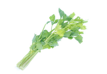 Celery isolated on a white background