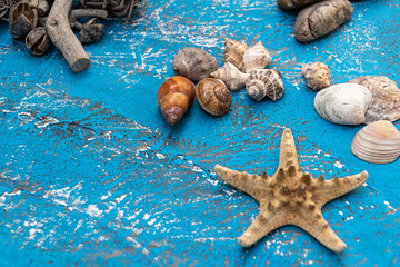  Starfish, rocks and seashells for fresh ornaments in summer