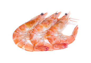 Shrimp isolated on the white background