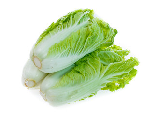 fresh chinese cabbage on a white background