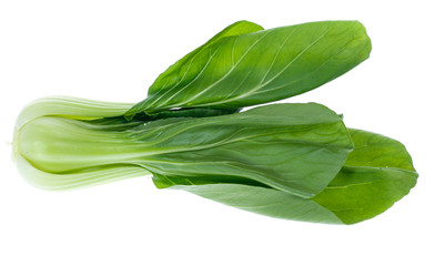 Obraz premium Chinese Vegetable cabbage on white background