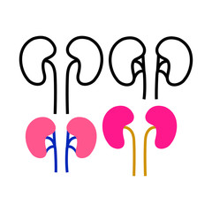 Kidneys icon flat design template vector 