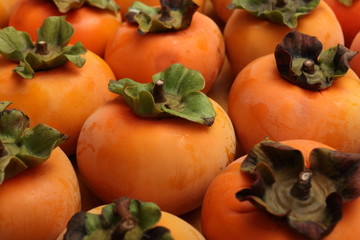 persimmon fruit in Okayama, Japan