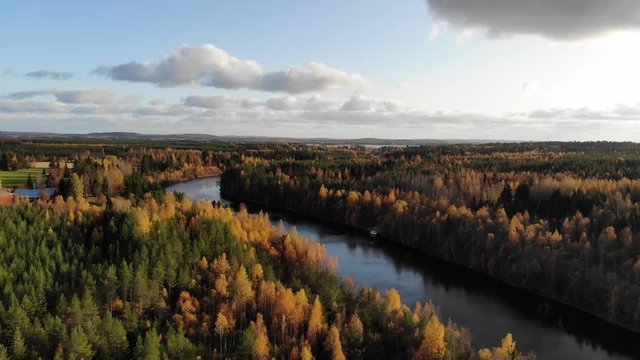 Autumn landscape with river and forest