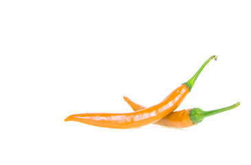 chilli isolated on white background