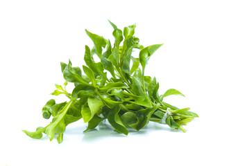 Watercress leaf isolated on white background