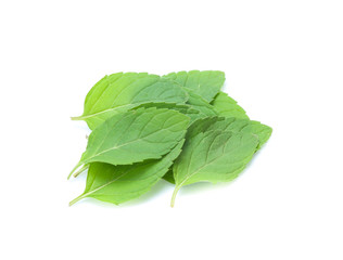 mint leaves isolated isolated on white