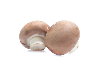 Fresh champignon mushrooms isolated on white