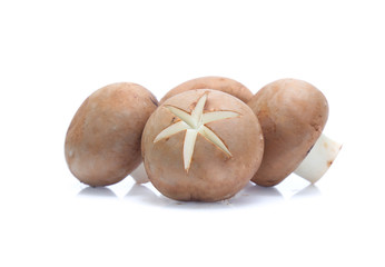 Fresh champignon mushrooms isolated on white