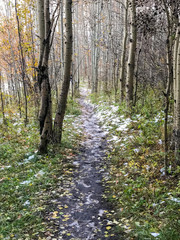 Pathways in Nose Hill Calgary Alberta