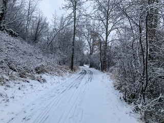 Winter scenery in Calgary Alberta