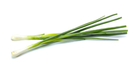 Bunching Onion on white background