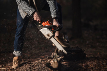 Lumberman work with chainsaw  sawing a tree in the forest. Lifestyle work.  Male hands with a saw in the woods. Detail . Hard work with a saw.