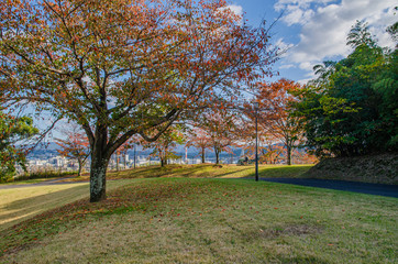 Naklejka premium 滋賀 茶臼山公園