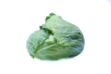 Fototapeta premium cabbage isolated on white background
