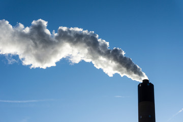 Billowing white smoke streams from smoke stack.