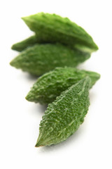 Obraz premium close up bitter gourd isolated on white background..