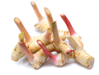 Fresh slices galangal rhizomes isolated on white background