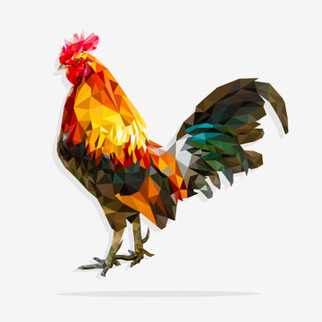 Low poly rooster standing in a white background. Beautiful polygon chicken. vector illustration design.