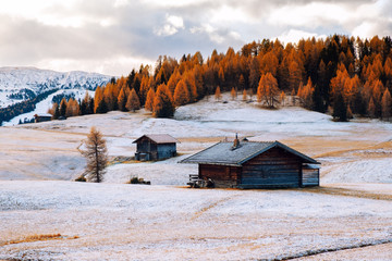 Magical and gorgeous scene in Dolomites mountain