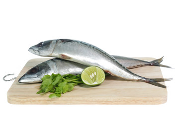 Fresh saba fish isolated on white background