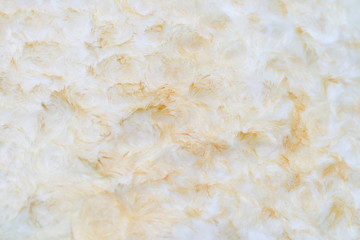 Yellow Cotton wool texture for background