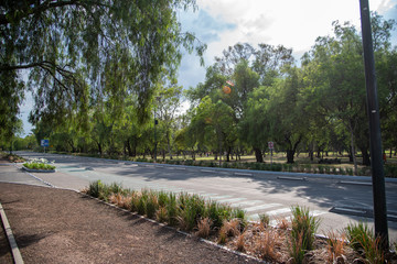 Fototapeta premium paisaje