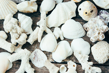 Seashells on the rustic wooden background. Summer wallpaper. - 302576692