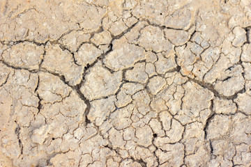 Dried cracked earth soil ground texture background.