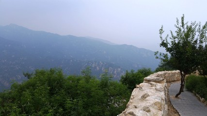 Foggy mountain view park scenery