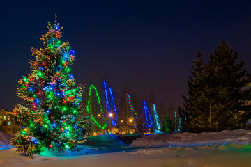 park decorated with lights for the winter holidays - Christmas and New Year