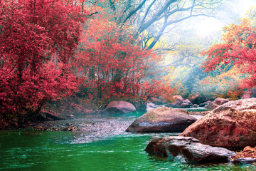 Hot Springs Onsen Natural Bath Surrounded by red-yellow leaves. In fall leaves fall .Waterfall...