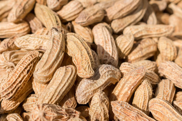 Close up of Raw peanuts in shells