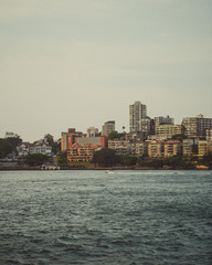 Fototapeta premium Sydney Harbour