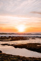 Pacific Tide Pools at Sunset