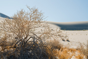 Death Valley, the hottest place on Earth. Eureka Dunes